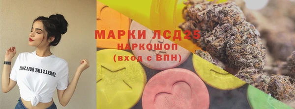 твердый Богданович