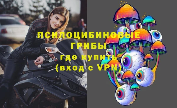 стафф Богородицк