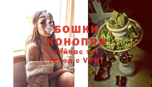 твердый Богданович