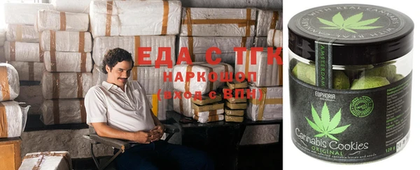 твердый Богданович