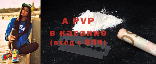 стафф Богородицк