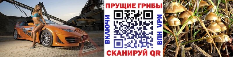 Псилоцибиновые грибы мицелий  OMG ссылки  Павловск 